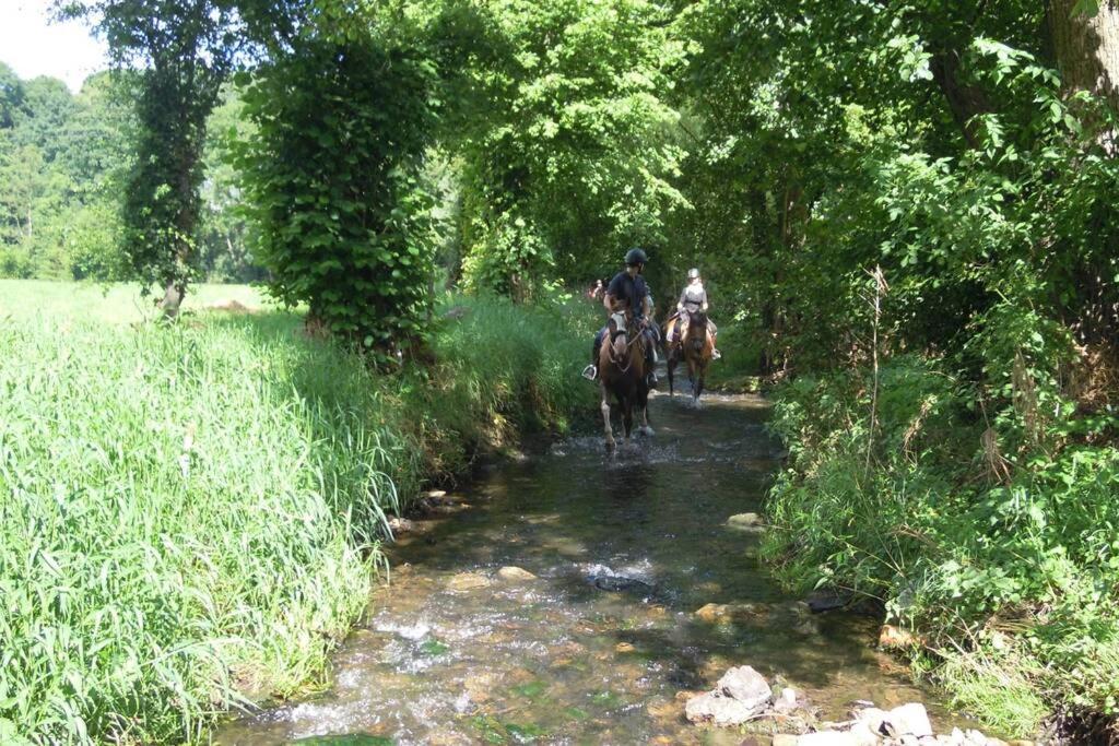 Hombourg Hoeve Espewey Cottage מראה חיצוני תמונה