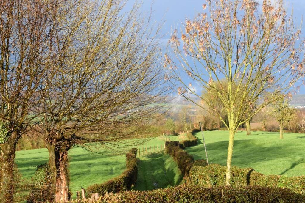 Hombourg Hoeve Espewey Cottage מראה חיצוני תמונה
